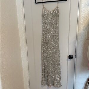 Zara Elegant Silver Sequin Dress